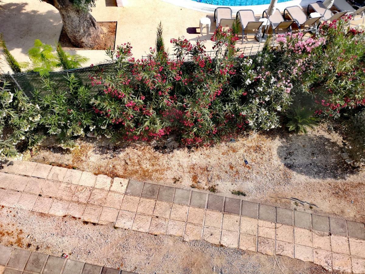 Ferienwohnung Faneromeni Court Paphos Exterior foto